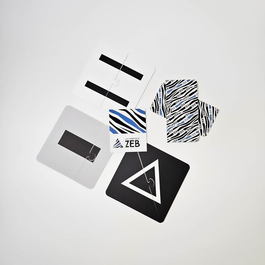 Magnetic Pictures Activity – Series 2