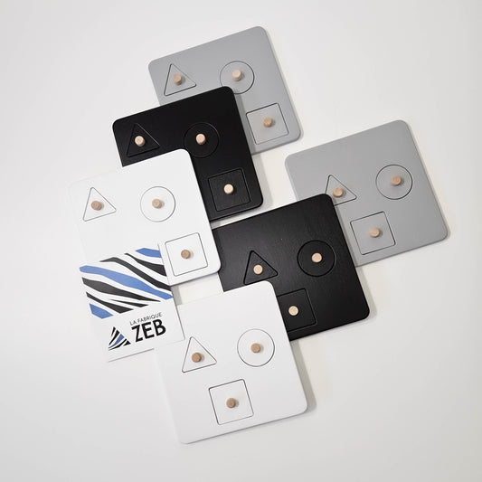 Set of 6 Conceptual Puzzles – 3 Pieces